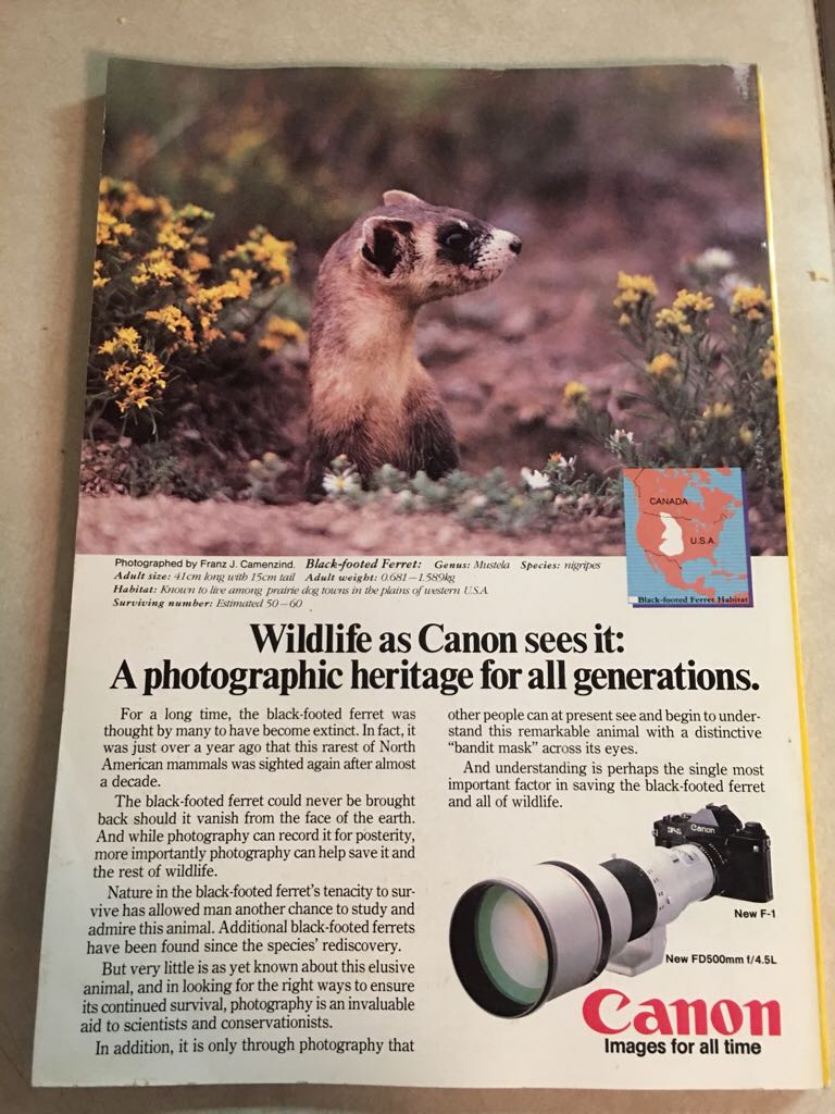 National Geographic  (February) magazine collectible - Main Image 2