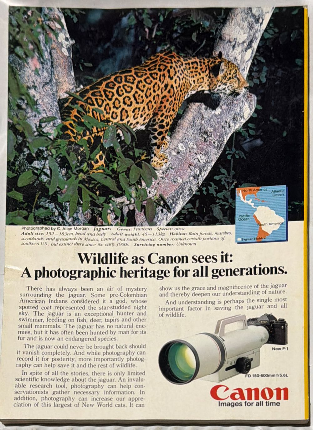 National Geographic  (February) magazine collectible - Main Image 2