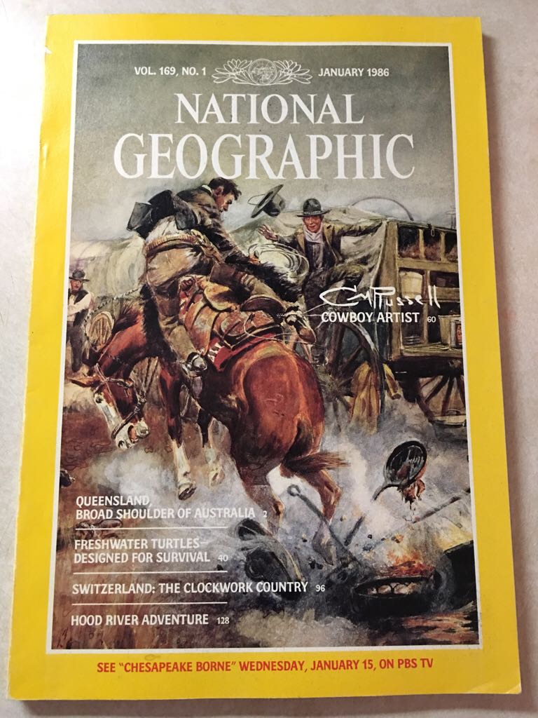 Bicycle Buyer’s Guide