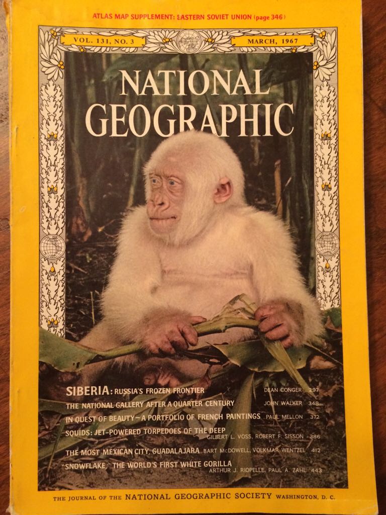 Onkel Joakim 1981 Nr 19