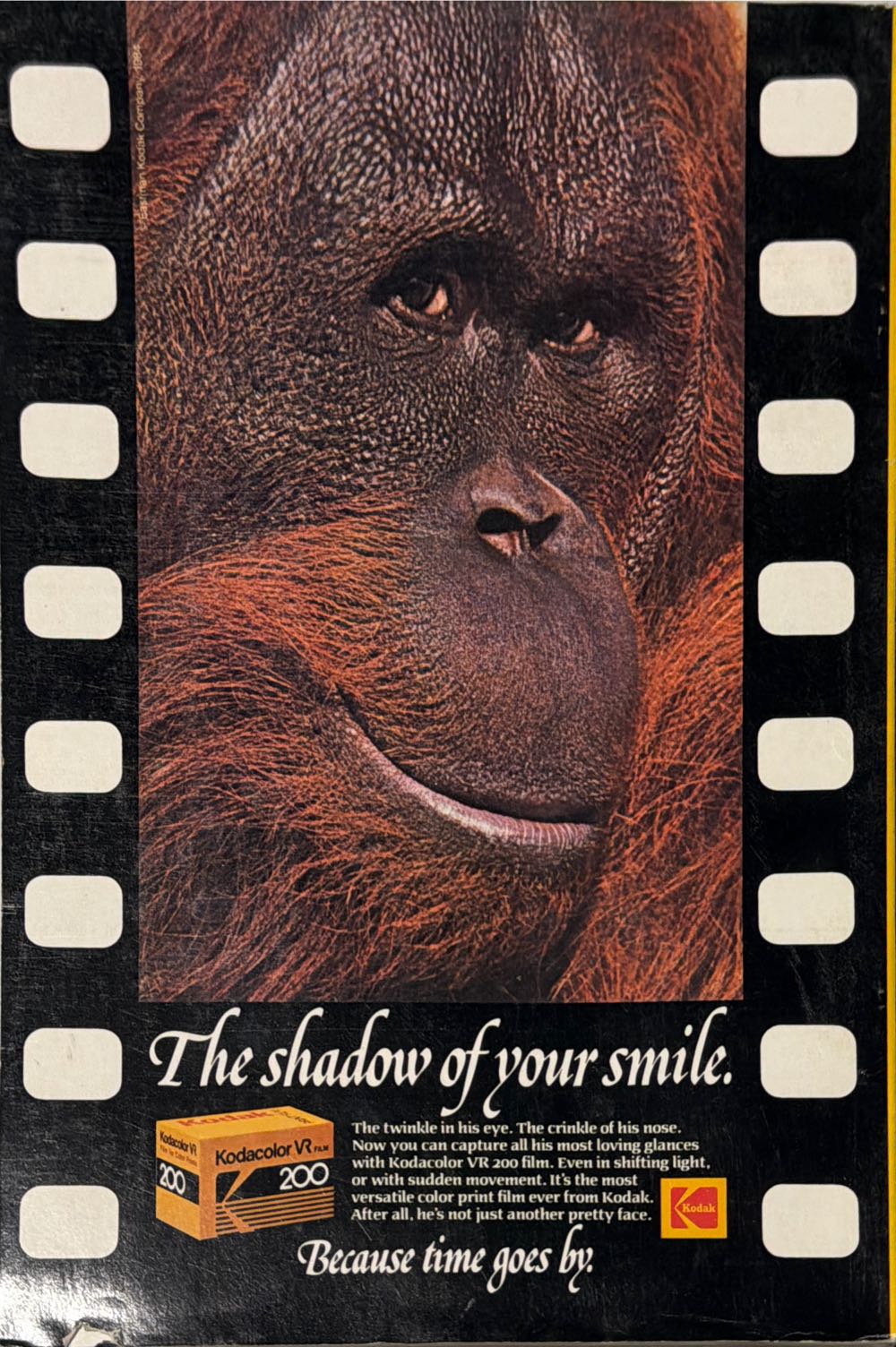 National Geographic  (May) magazine collectible - Main Image 2