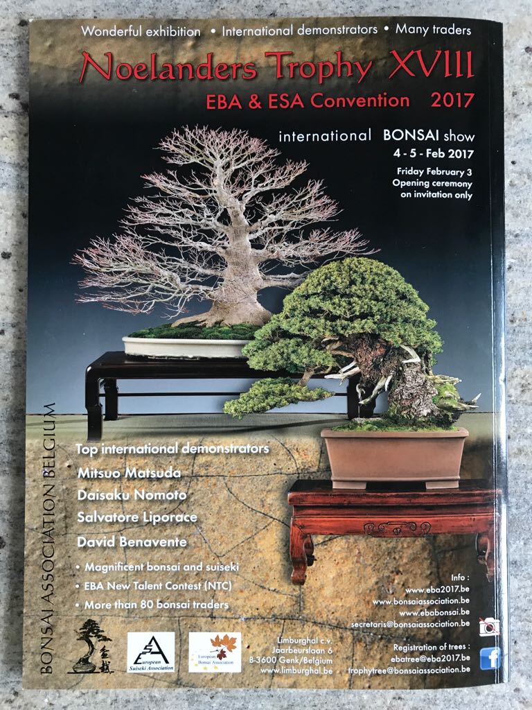Bonsai Art  (Januar) magazine collectible - Main Image 2