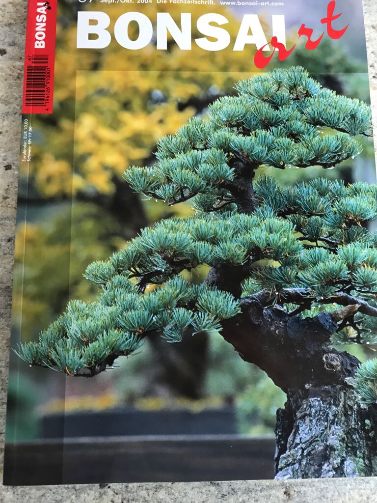 Bonsai Art / 67 / 2004  (September) magazine collectible - Main Image 1