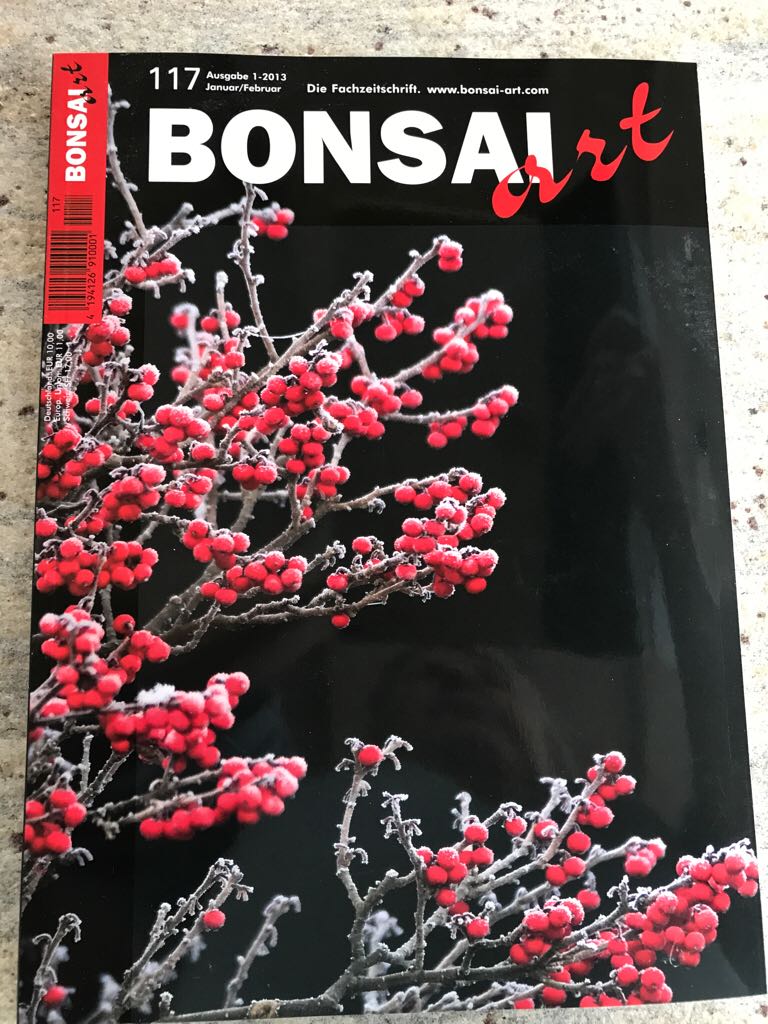 Bonsa Art / 117 / 2013 (Januar) magazine collectible - Main Image 1