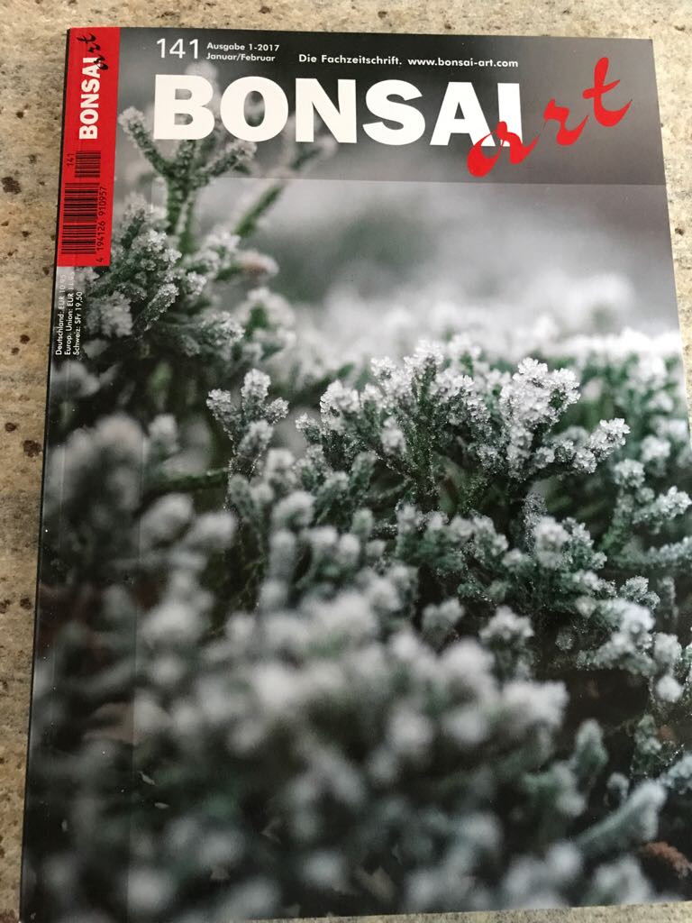 Simplicity Home Catalog