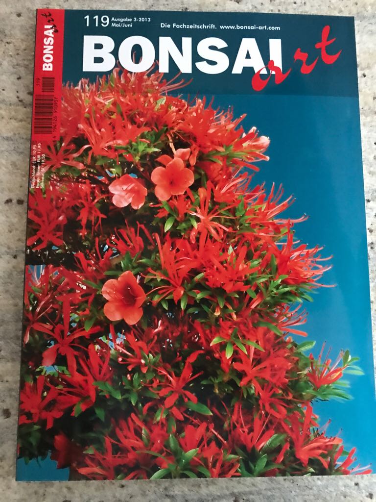 Bonsai Art / 71 / 2005