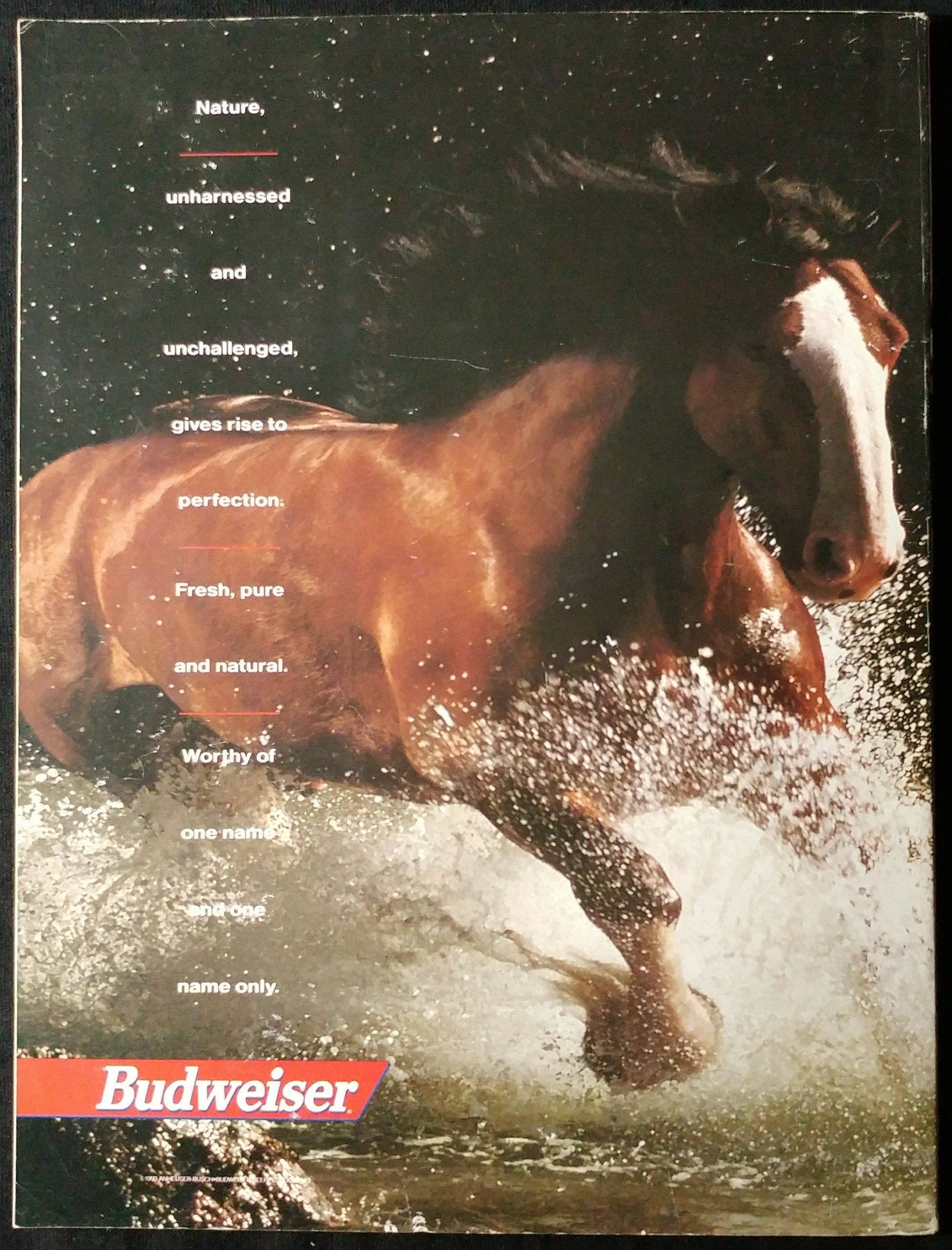 Playboy June 1993  (June) magazine collectible - Main Image 2