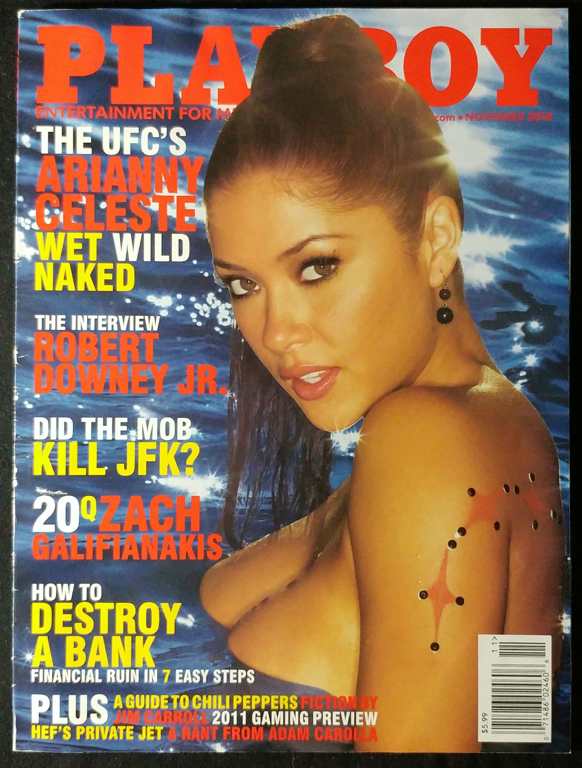 Playboy November 2010  (November) magazine collectible - Main Image 1