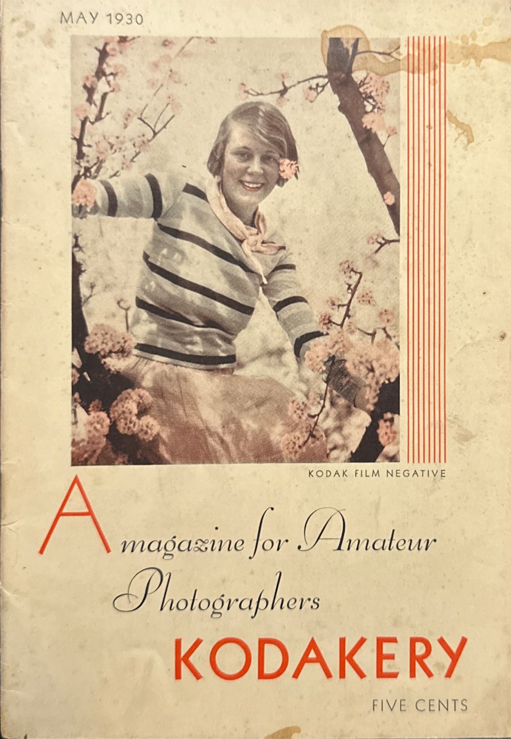 Guía De Referencia De Aventureros