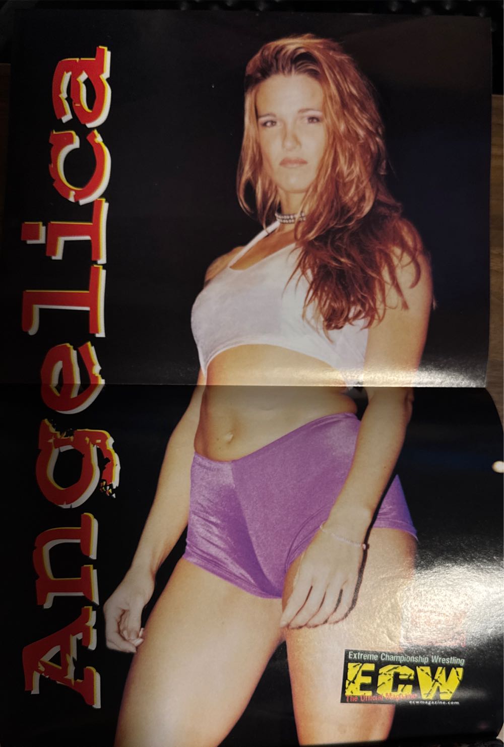 ECW Magazine  (December) magazine collectible - Main Image 3