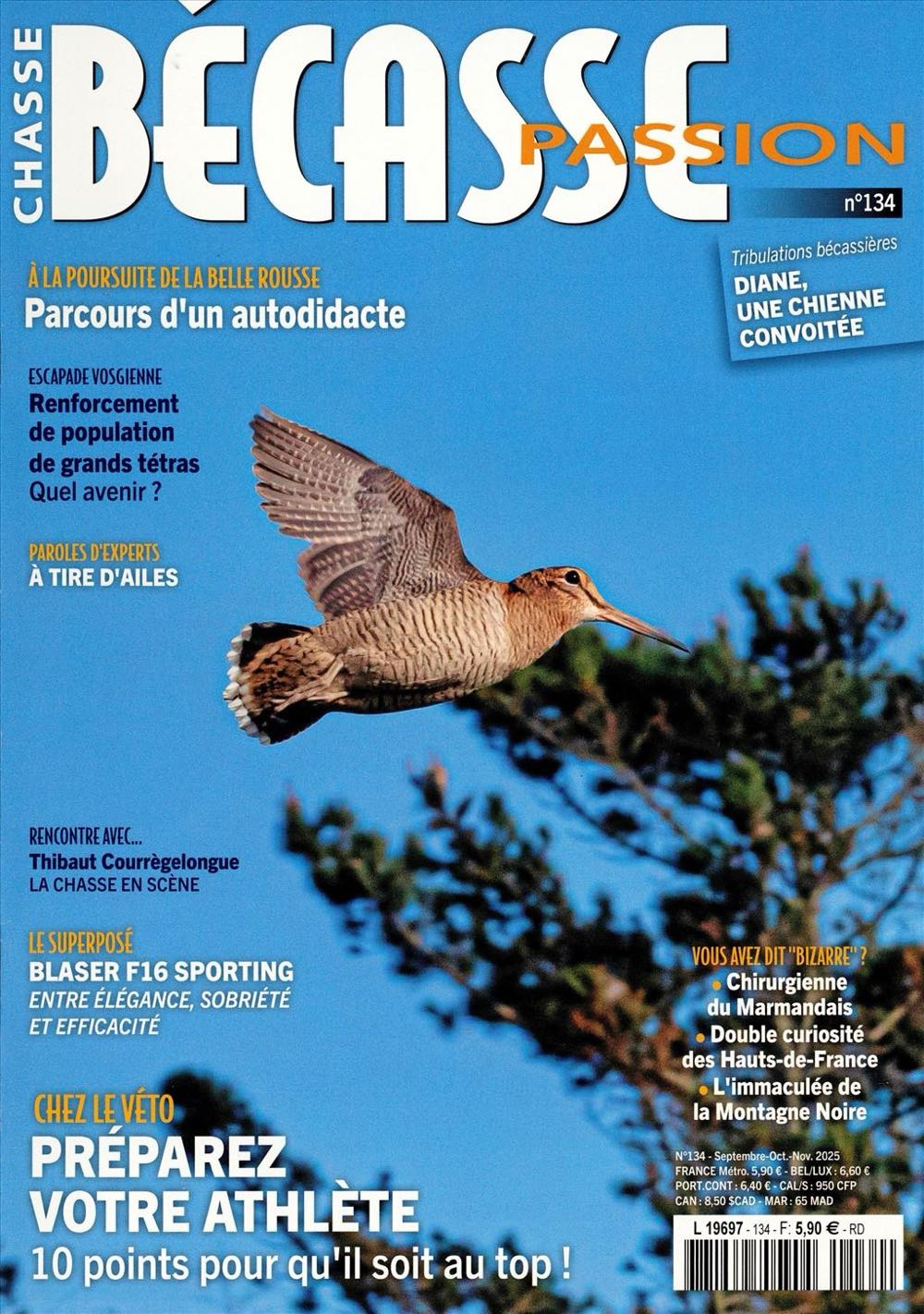 The Workbasket And Home Arts Magazine 