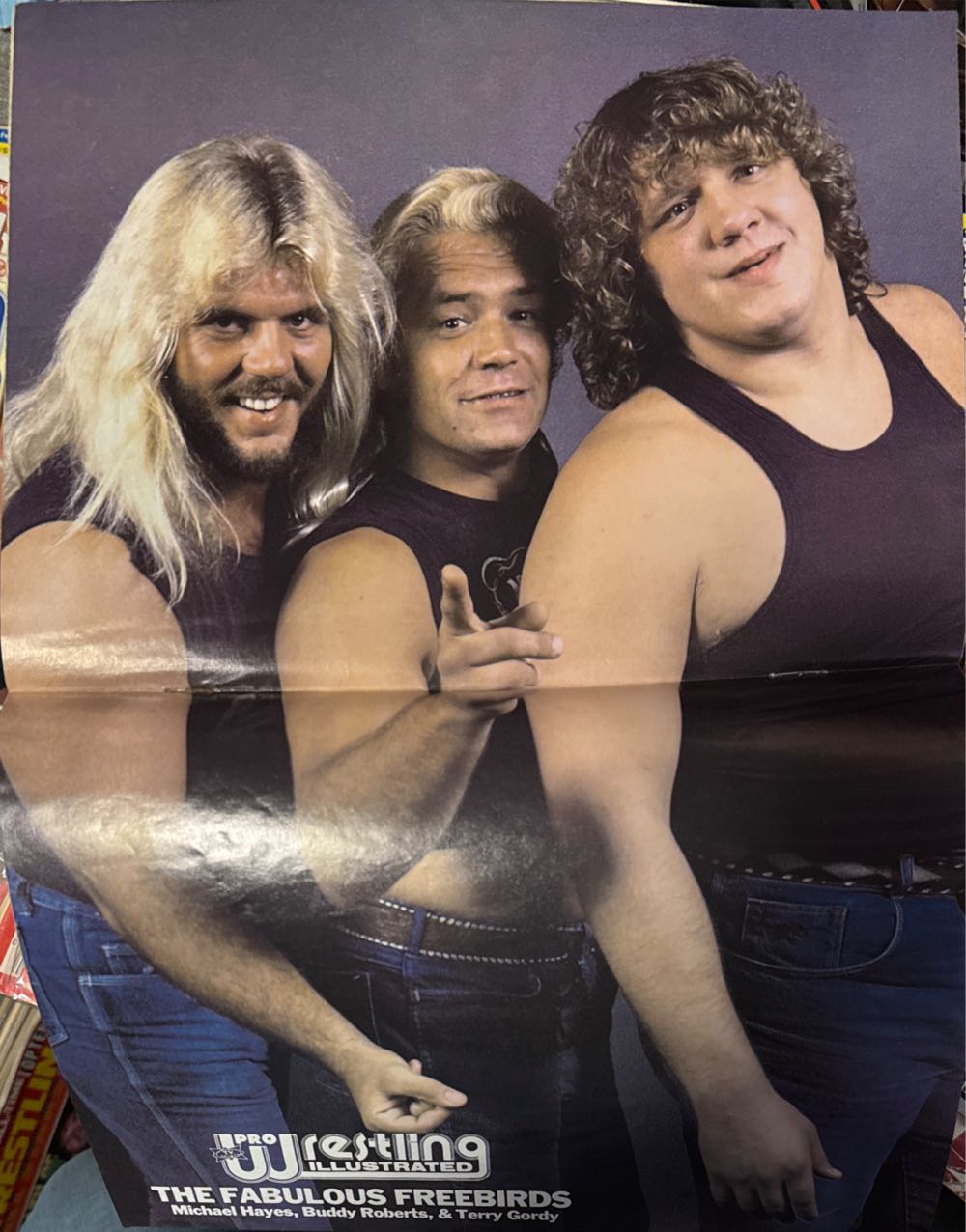 Pro Wrestling Illustrated  (January) magazine collectible [Barcode 07157204683301] - Main Image 3