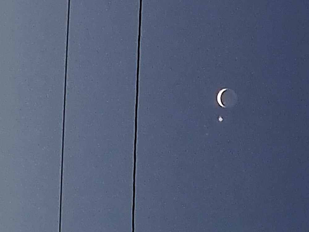 Sports Review Wrestling