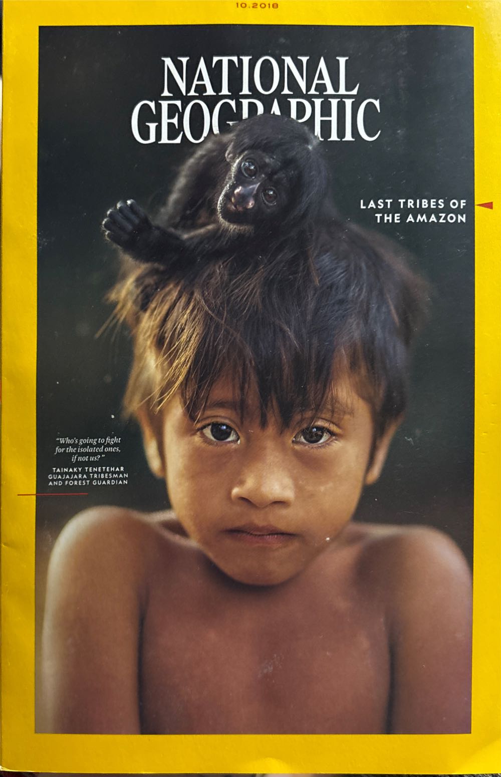 The Phantom of the Movies’ Videoscope