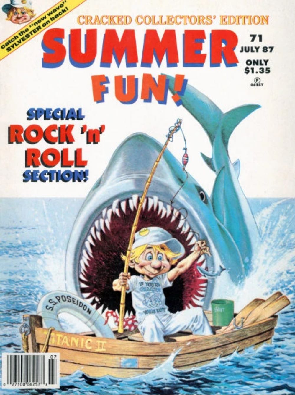 Training Secrets For Border Collies