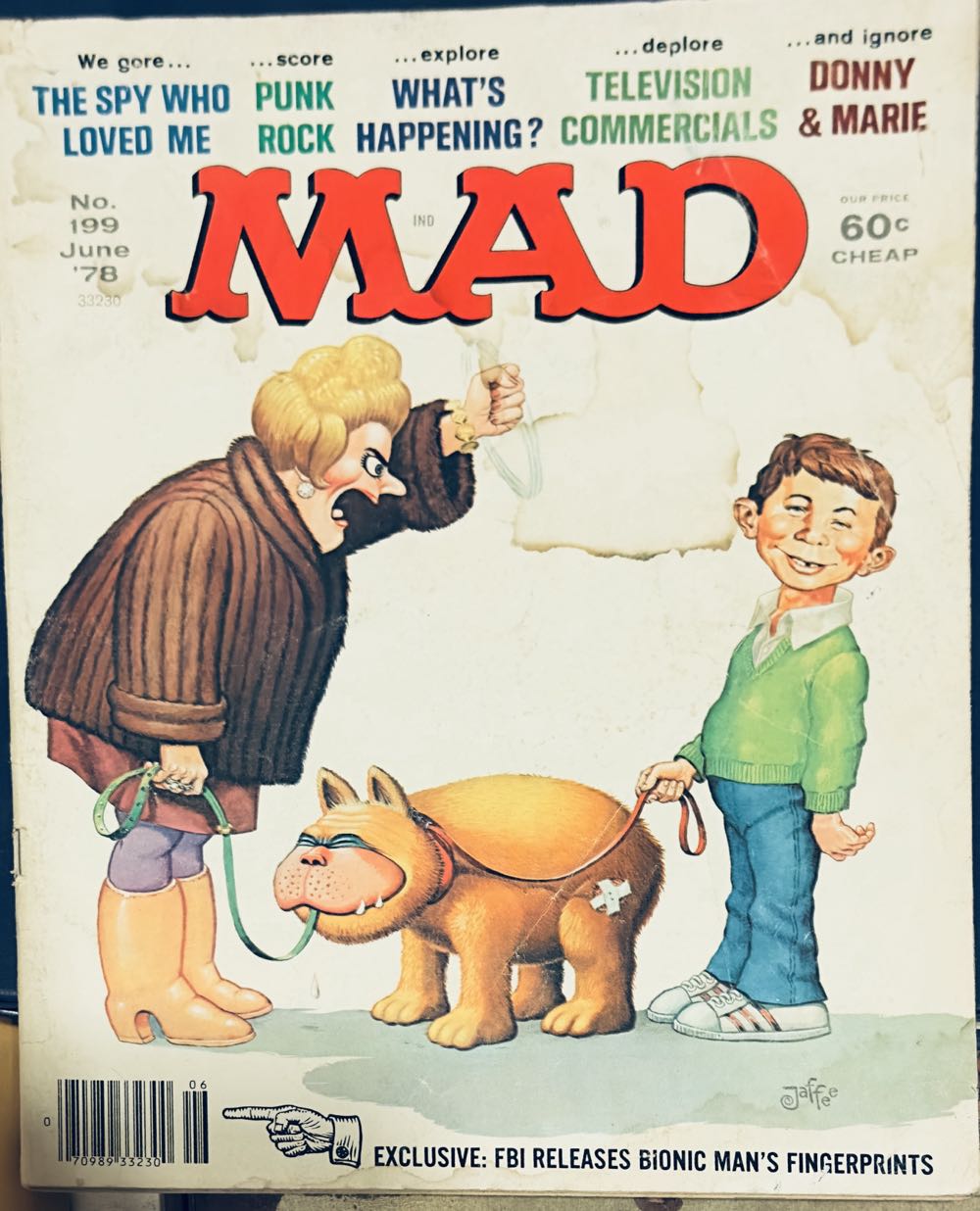 bellaGrace Field Guide To Everyday Magic