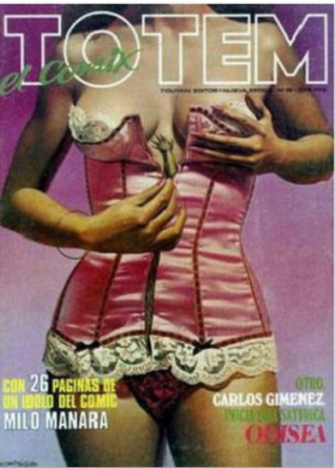 Town & Gown - 2013 Penn State Football Annual 