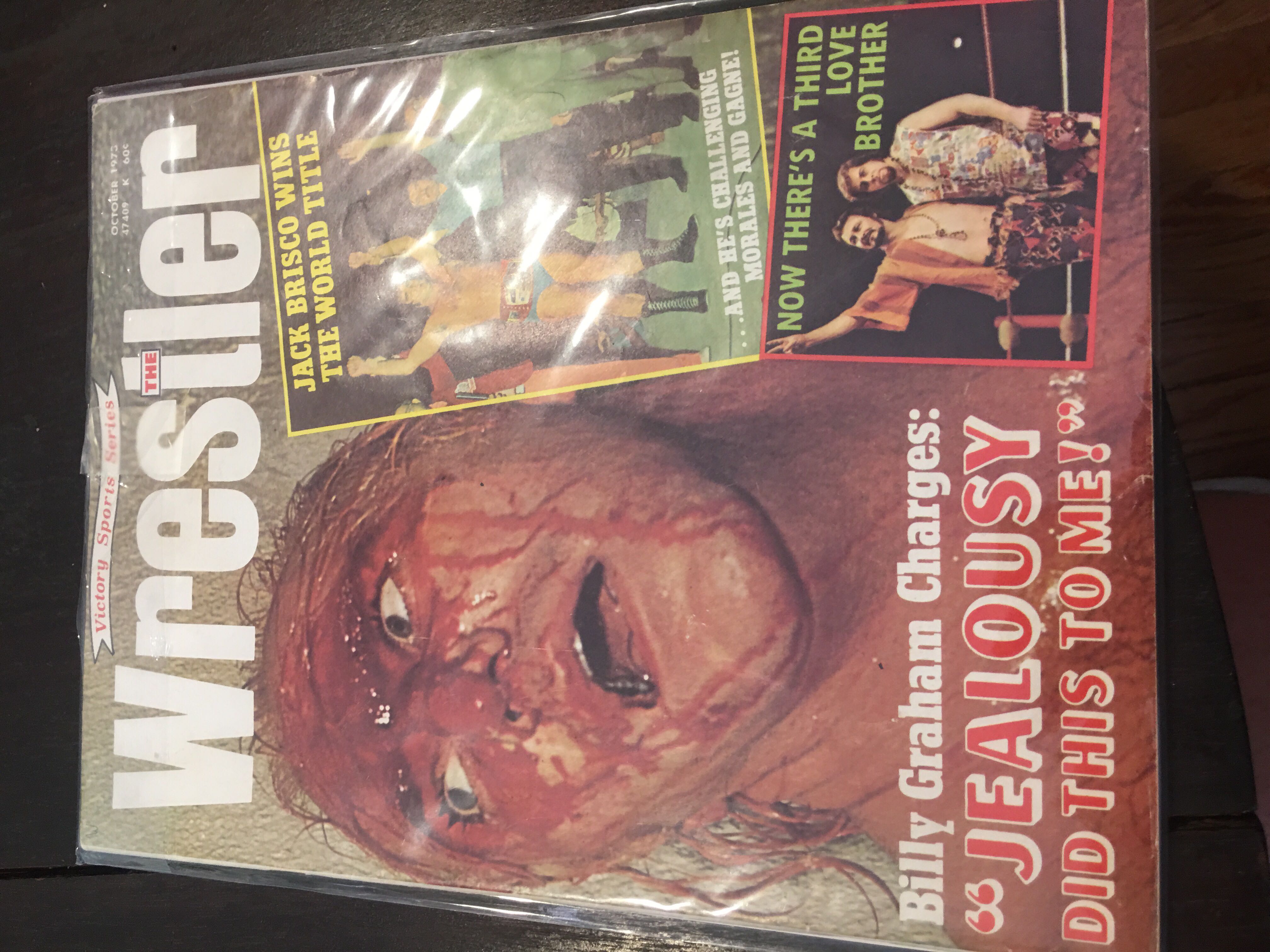 The Official International Queen Fan Club Summer 93