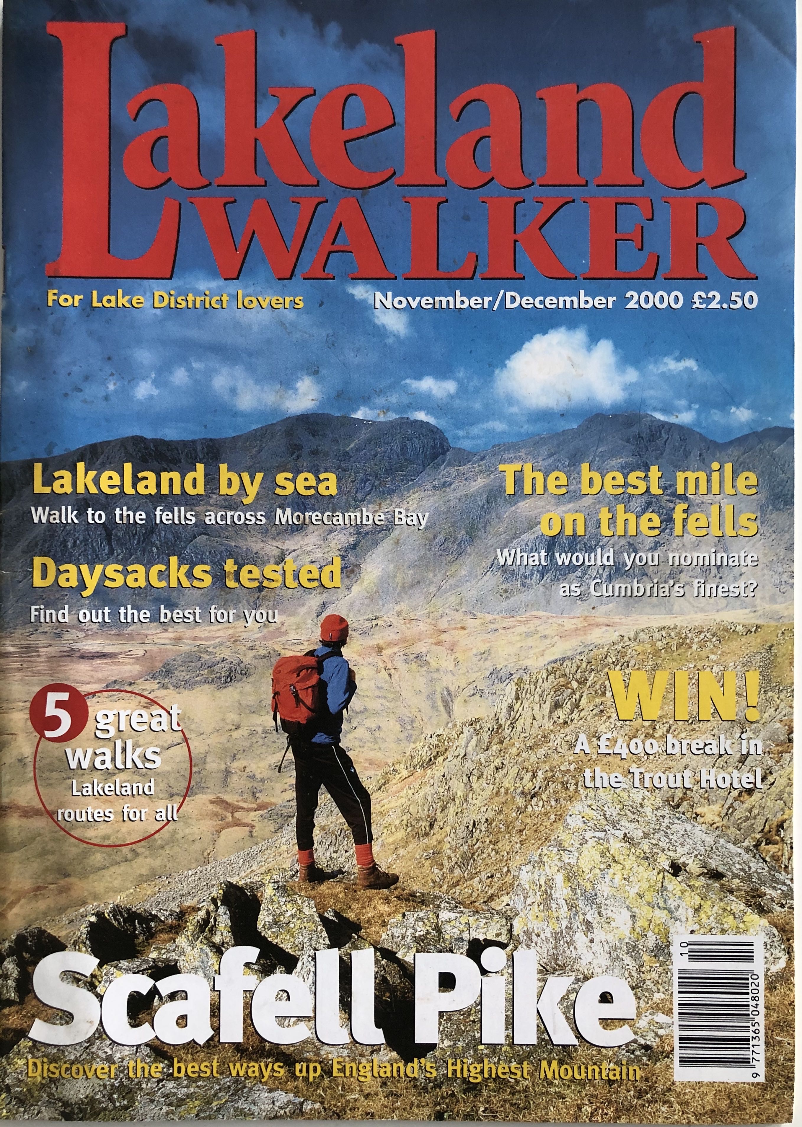 Lakeland Walker
