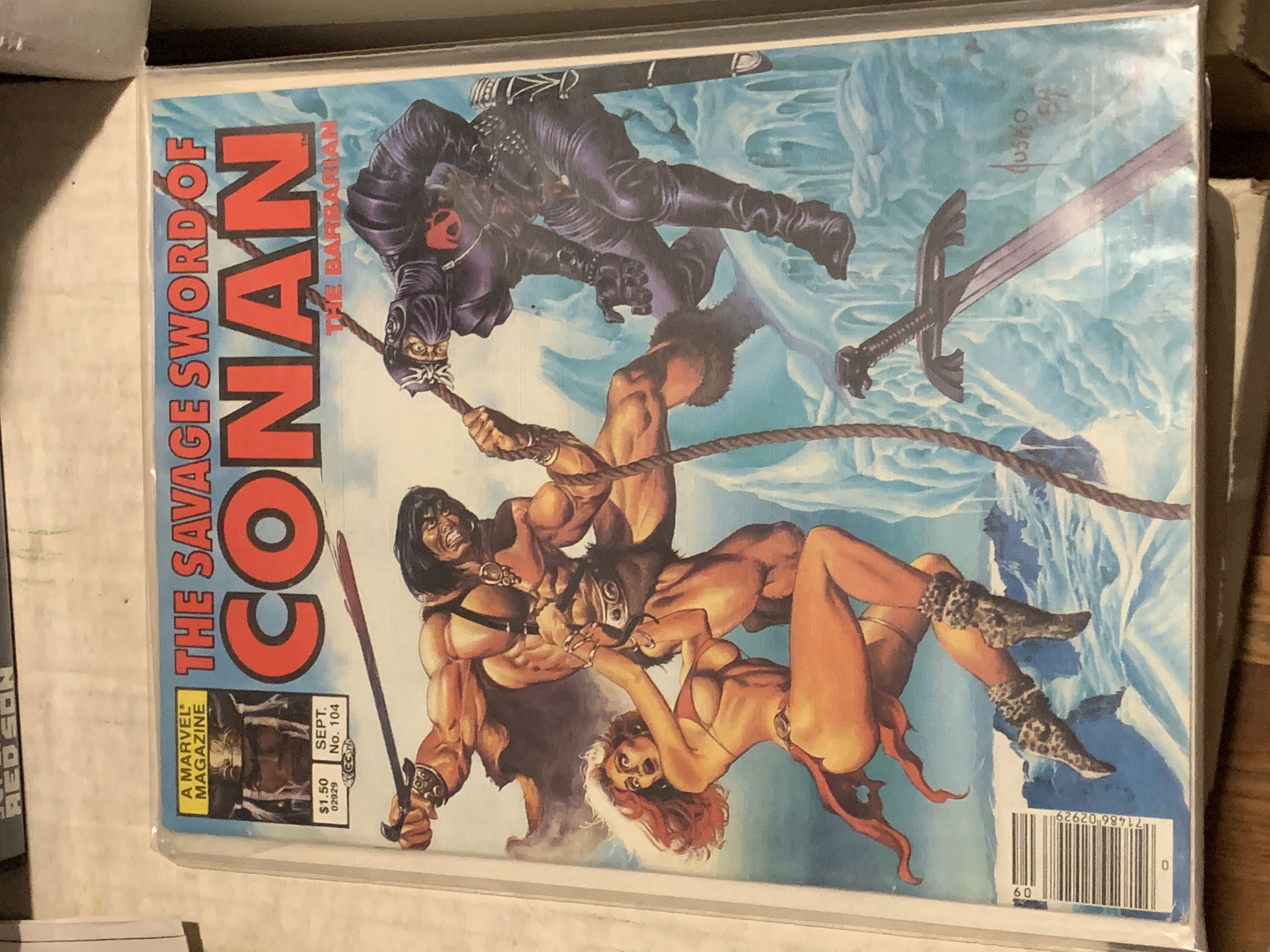 WWF Program Volume 119