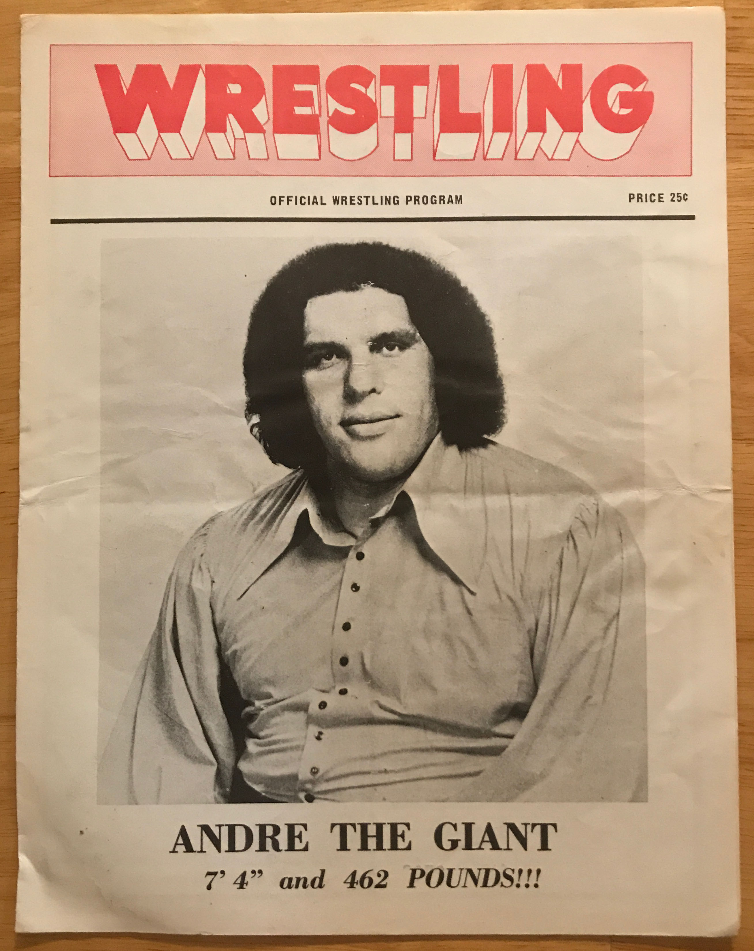 Star Trek Giant Poster Monthy 9