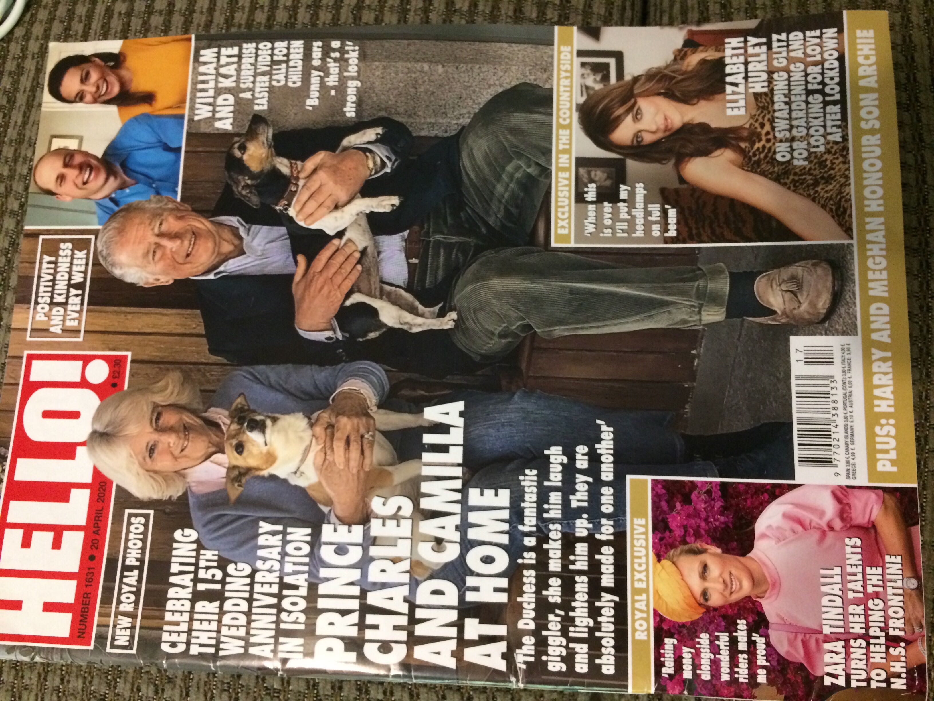 WWF Program Volume 234