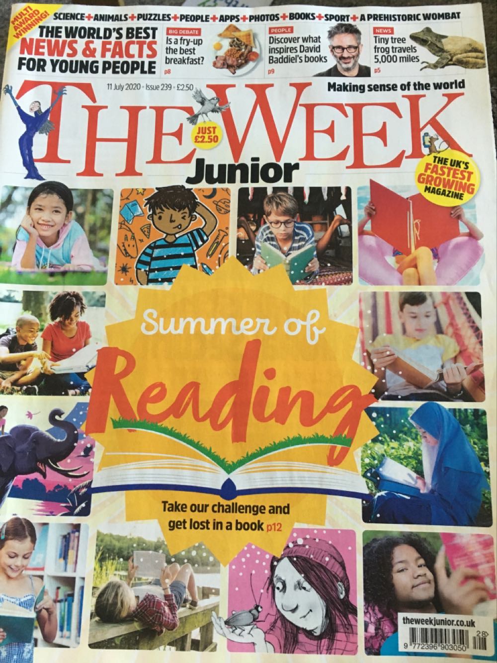 Military Illustrated