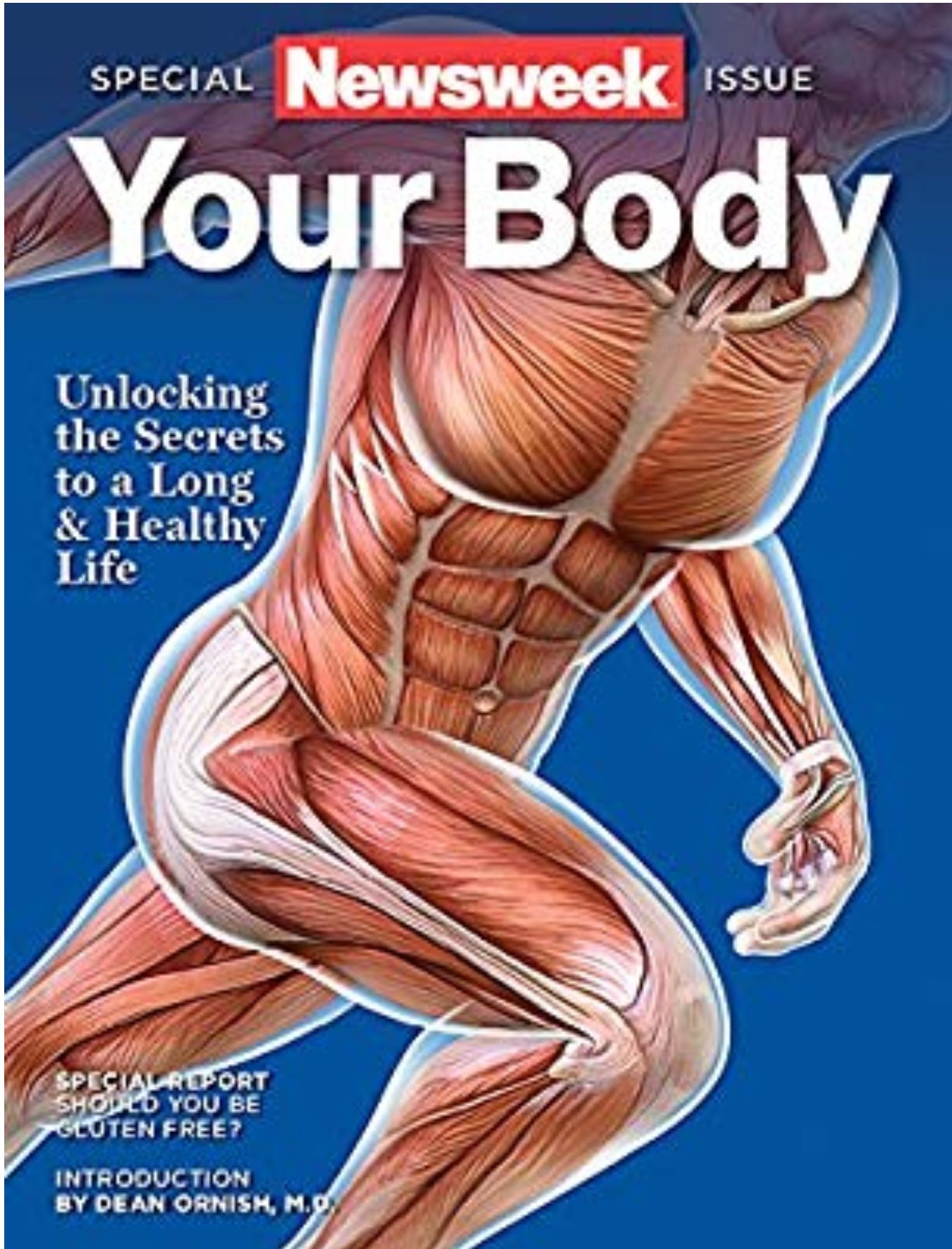 Wargames Illustrated