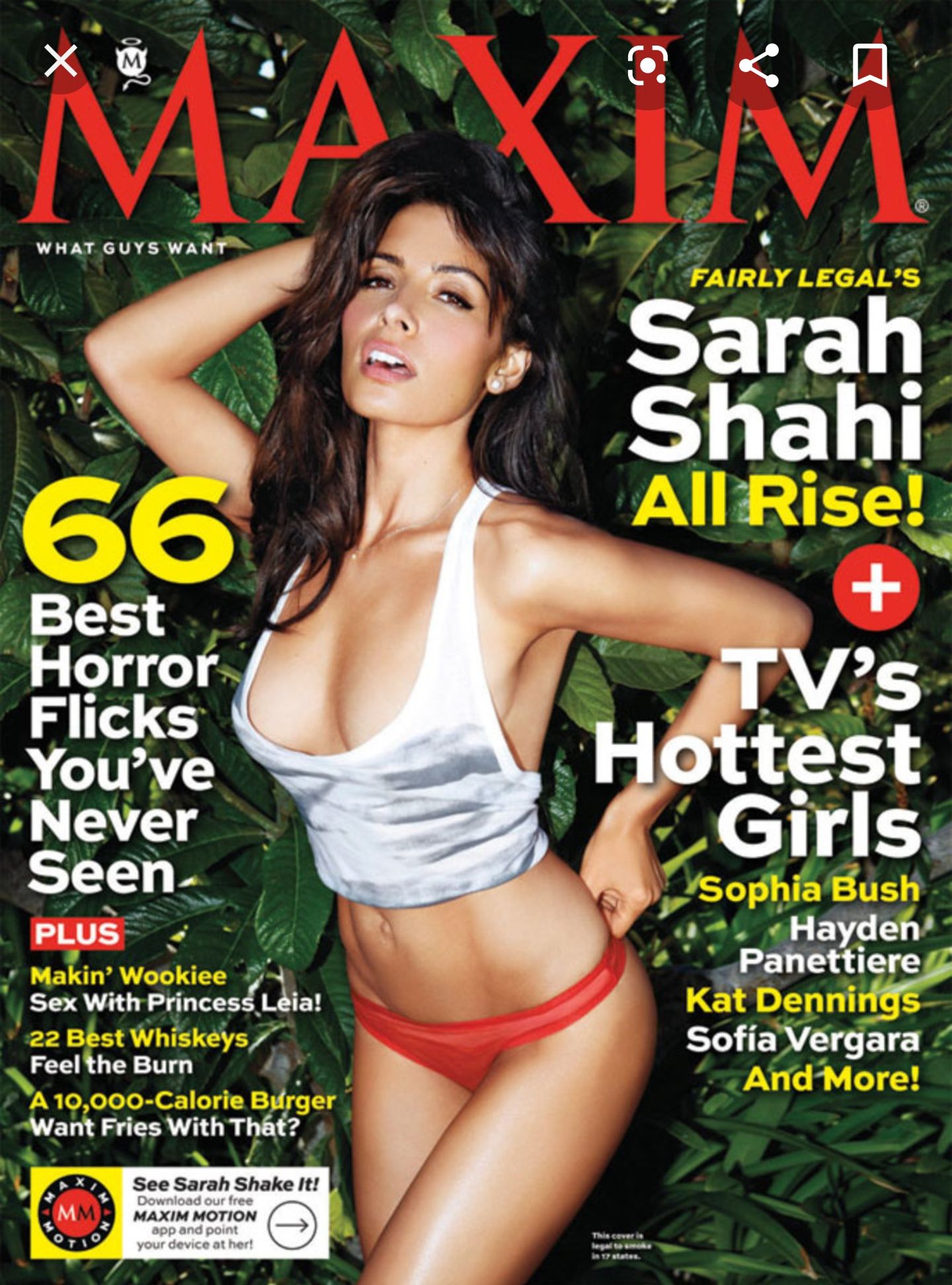 L’encyclopédie Des Dinosaurs