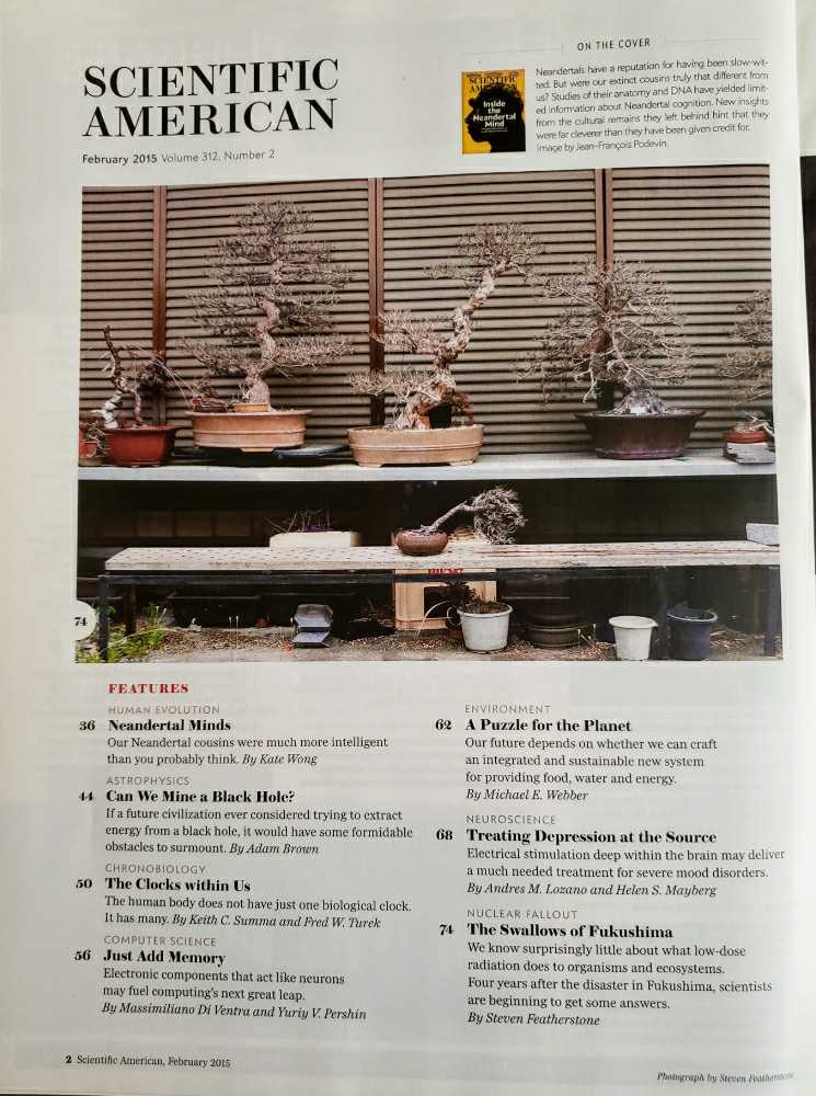 Scientific American  (February) magazine collectible - Main Image 3