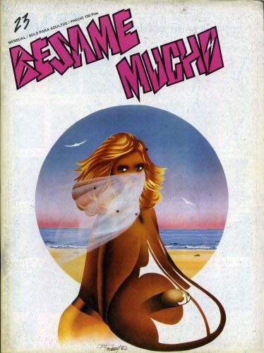 Playboy’s Book Of Lingerie