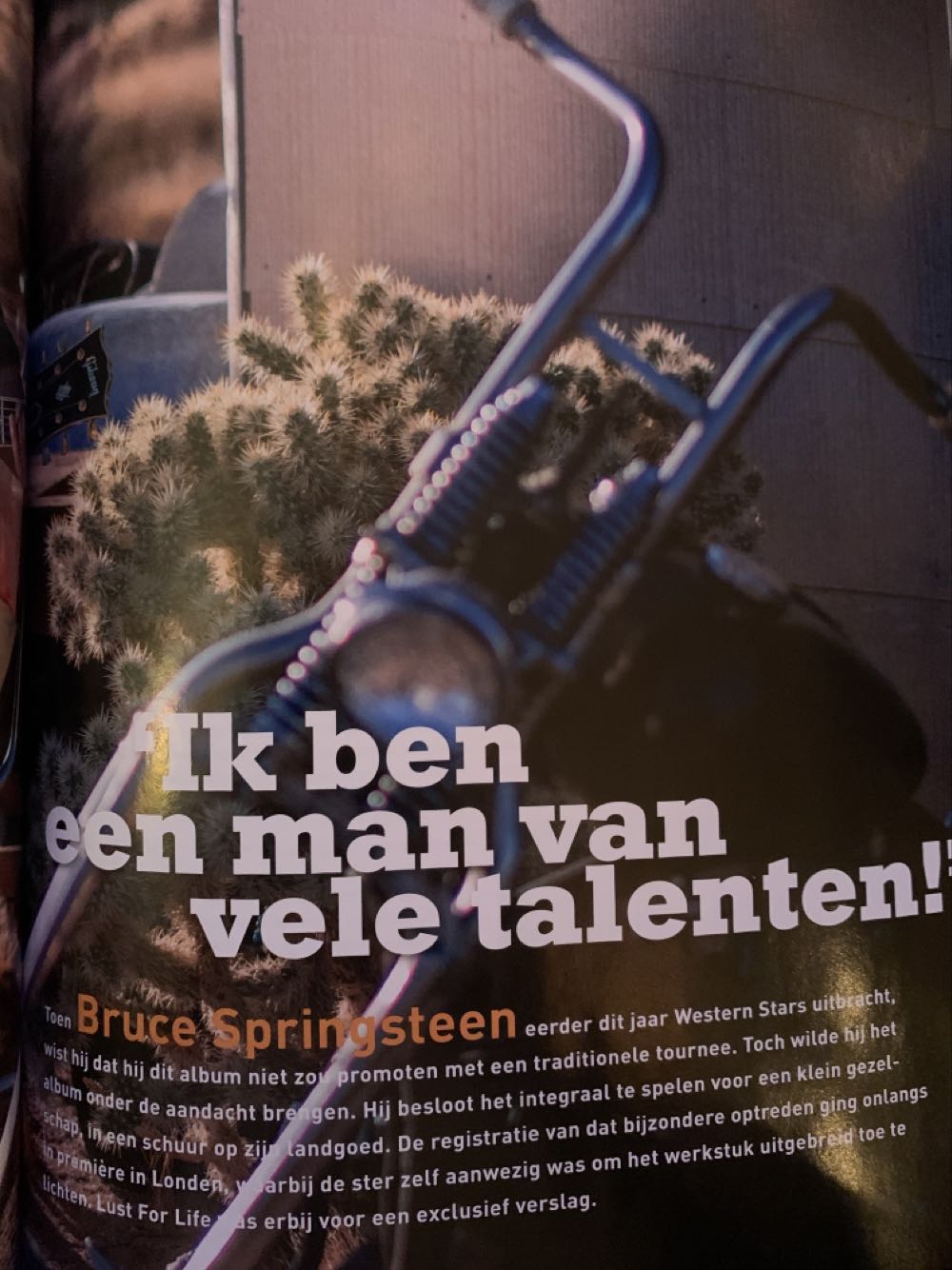 Lust for Life  (November) magazine collectible [Barcode 871096621265300096] - Main Image 2