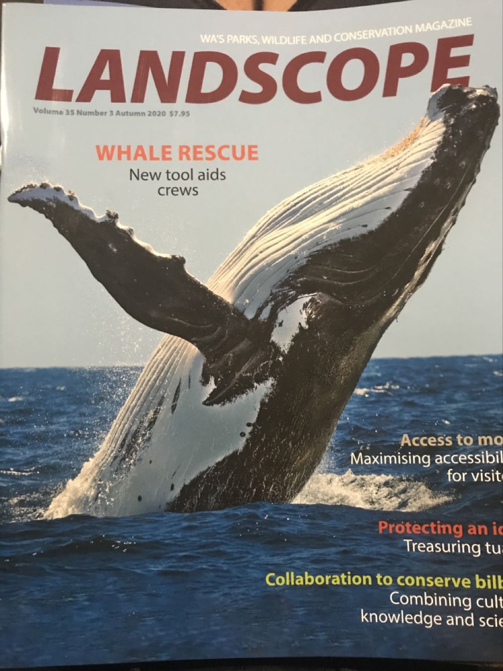 Sports Illustrated “Hot Stuff”