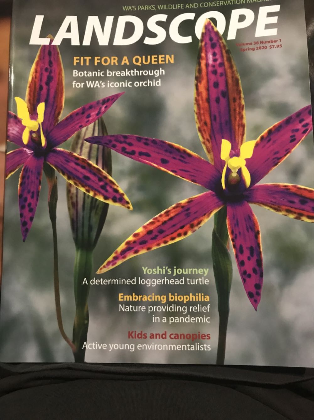 Playboy’s Blondes, Brunettes & Redheads