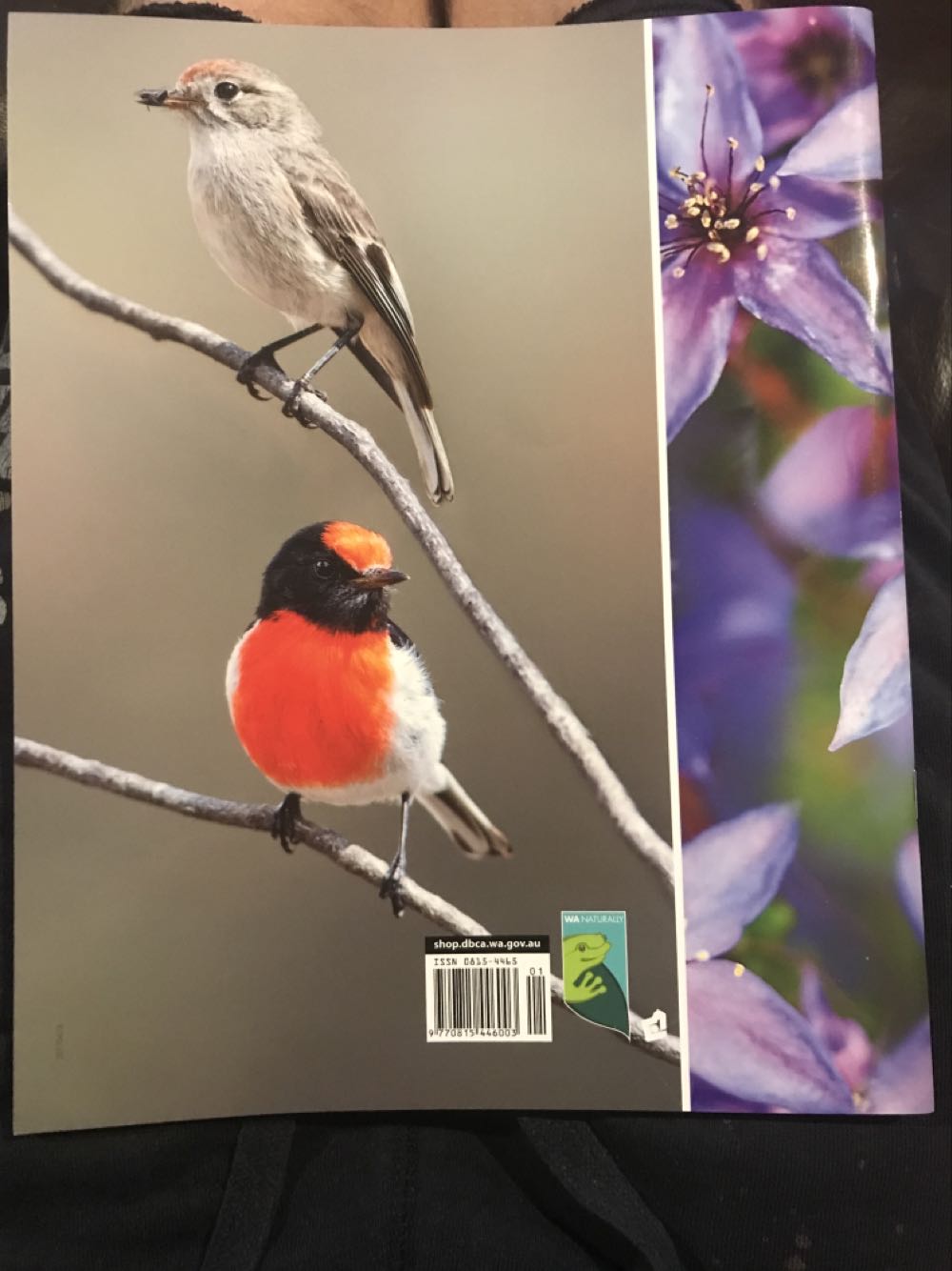 Landscope  magazine collectible [Barcode 977081544600301] - Main Image 2