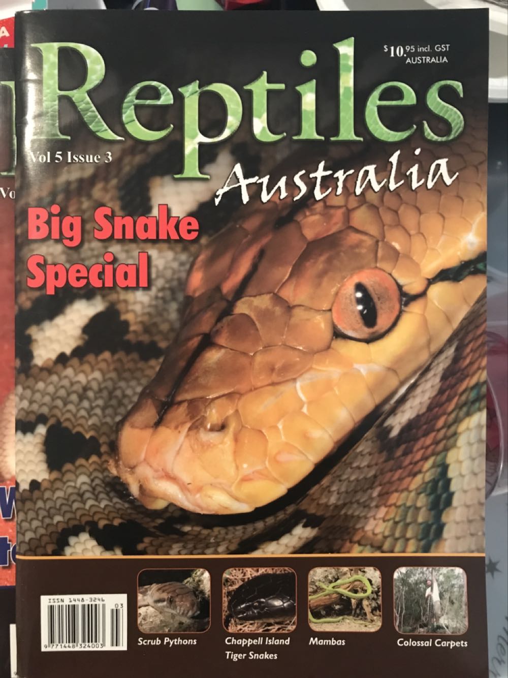 Reptiles Australia Vol 5, Issue 3  magazine collectible - Main Image 1