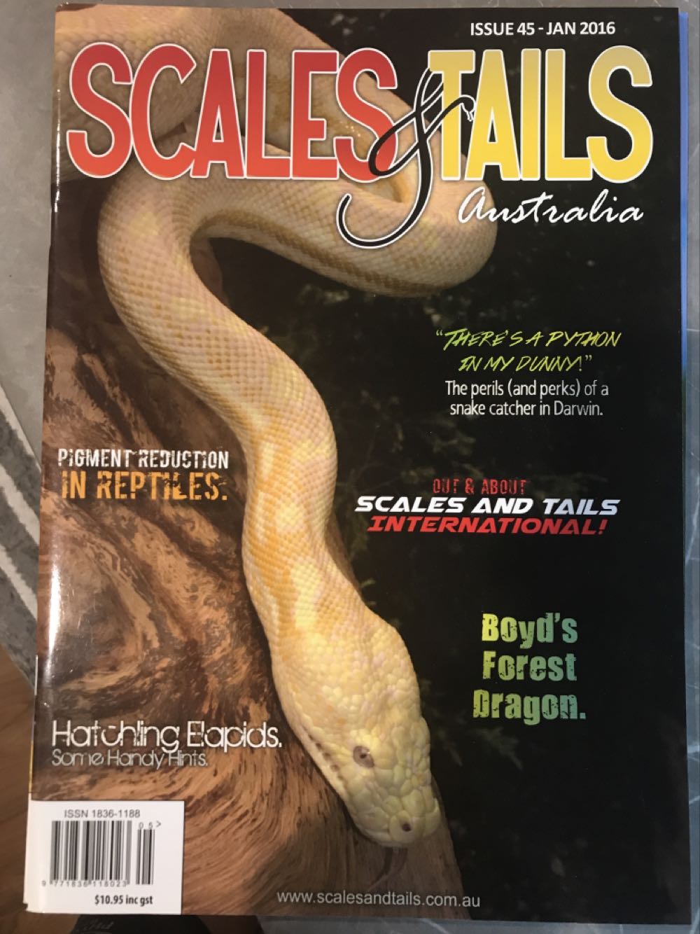 Star Trek Communicator