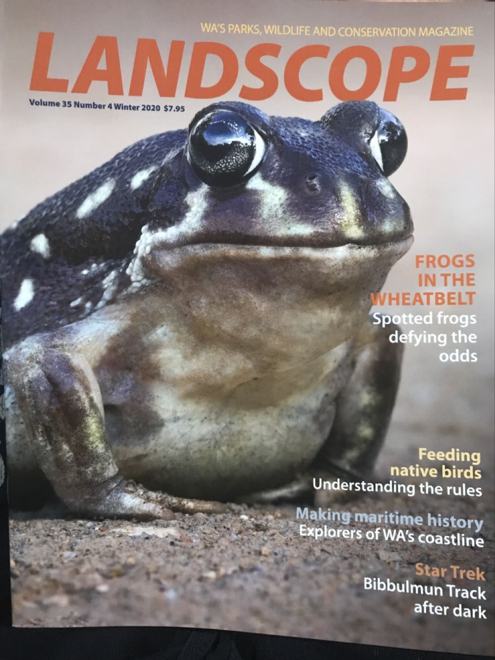 Beckett Baseball Card Monthly Issue # 50