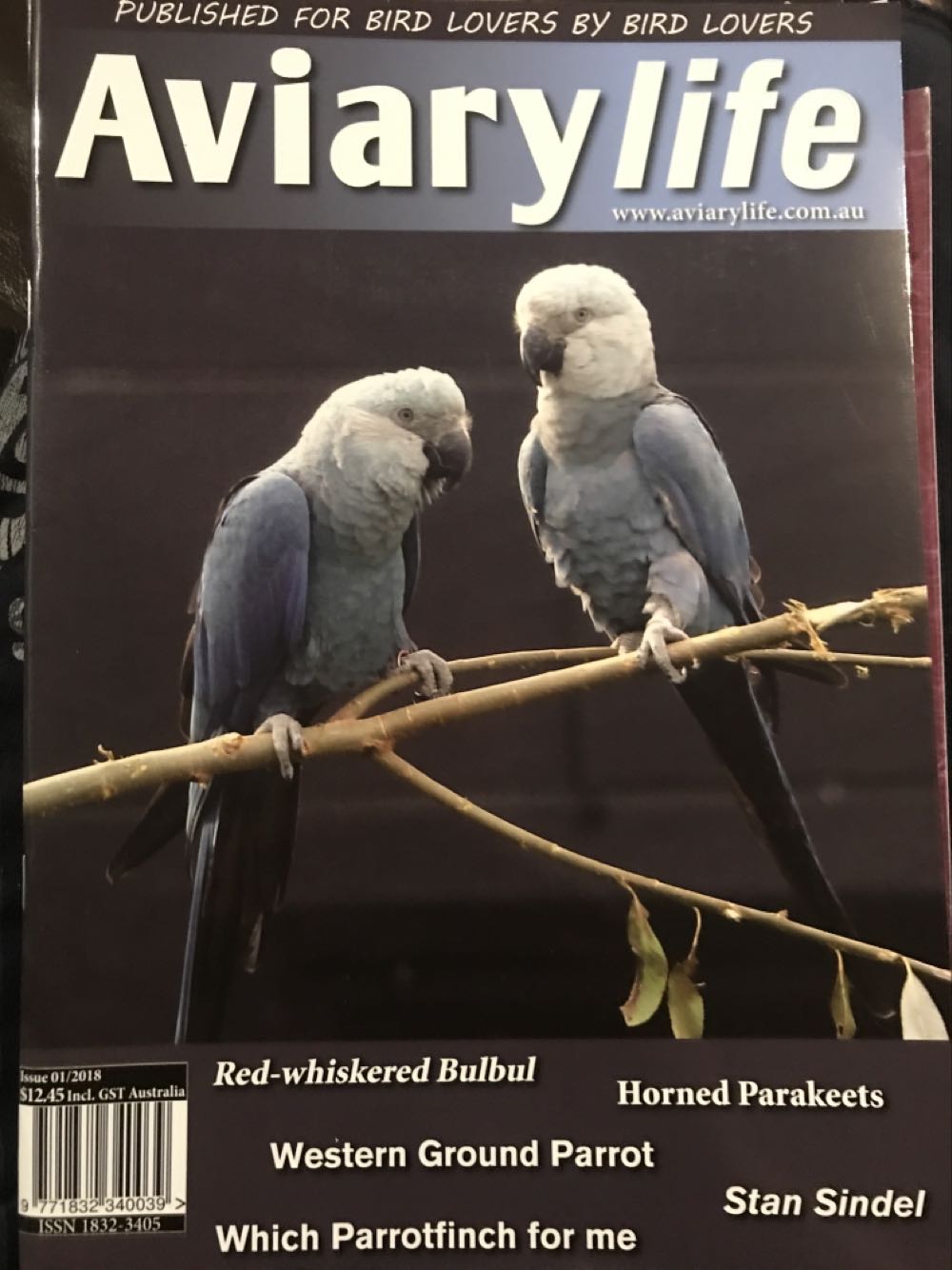 Playboy’s Lingerie