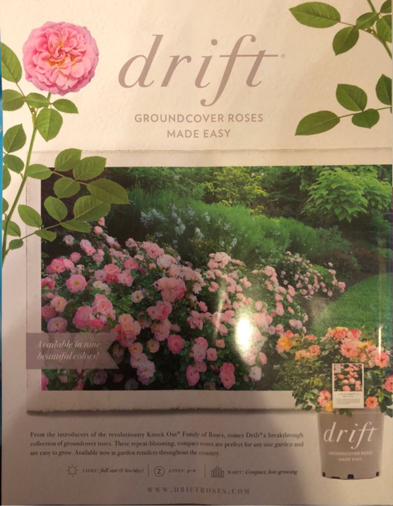 Mother Earth Living  (July) magazine collectible - Main Image 2