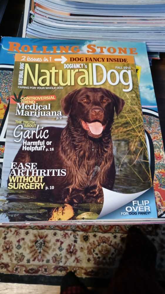 Dog Fancy  (November) magazine collectible [Barcode 009128004402] - Main Image 2