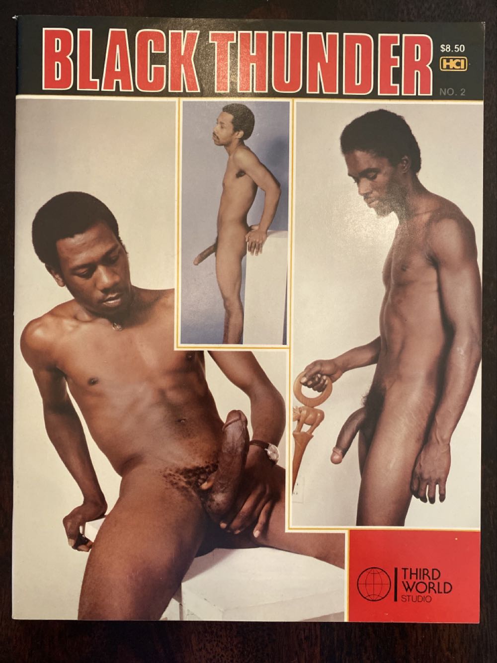 Sport-Auto Guide F1 1984