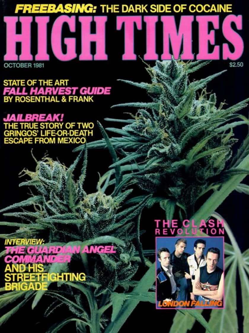 National Geographic Women A Century Of Change