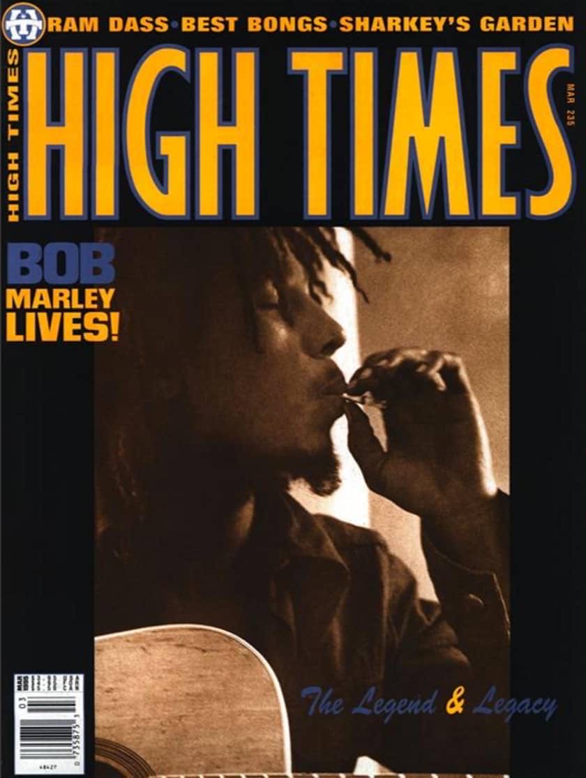 The Ultimate Guide to Harry Styles