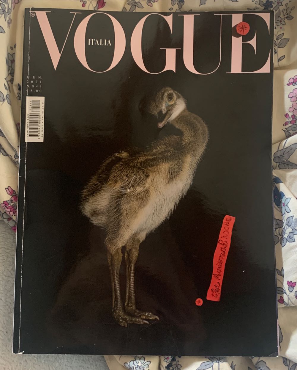 Best Movies TV Music & Books