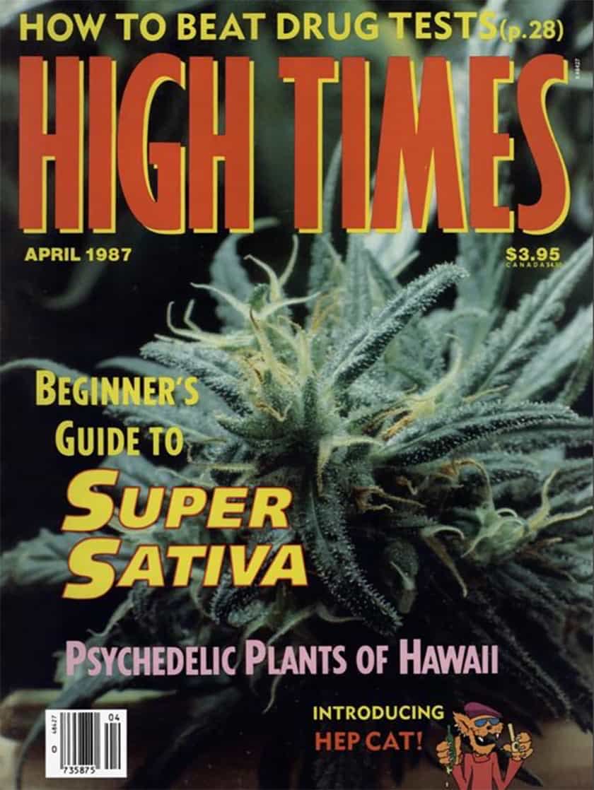 Star Wars Insider Issue #035