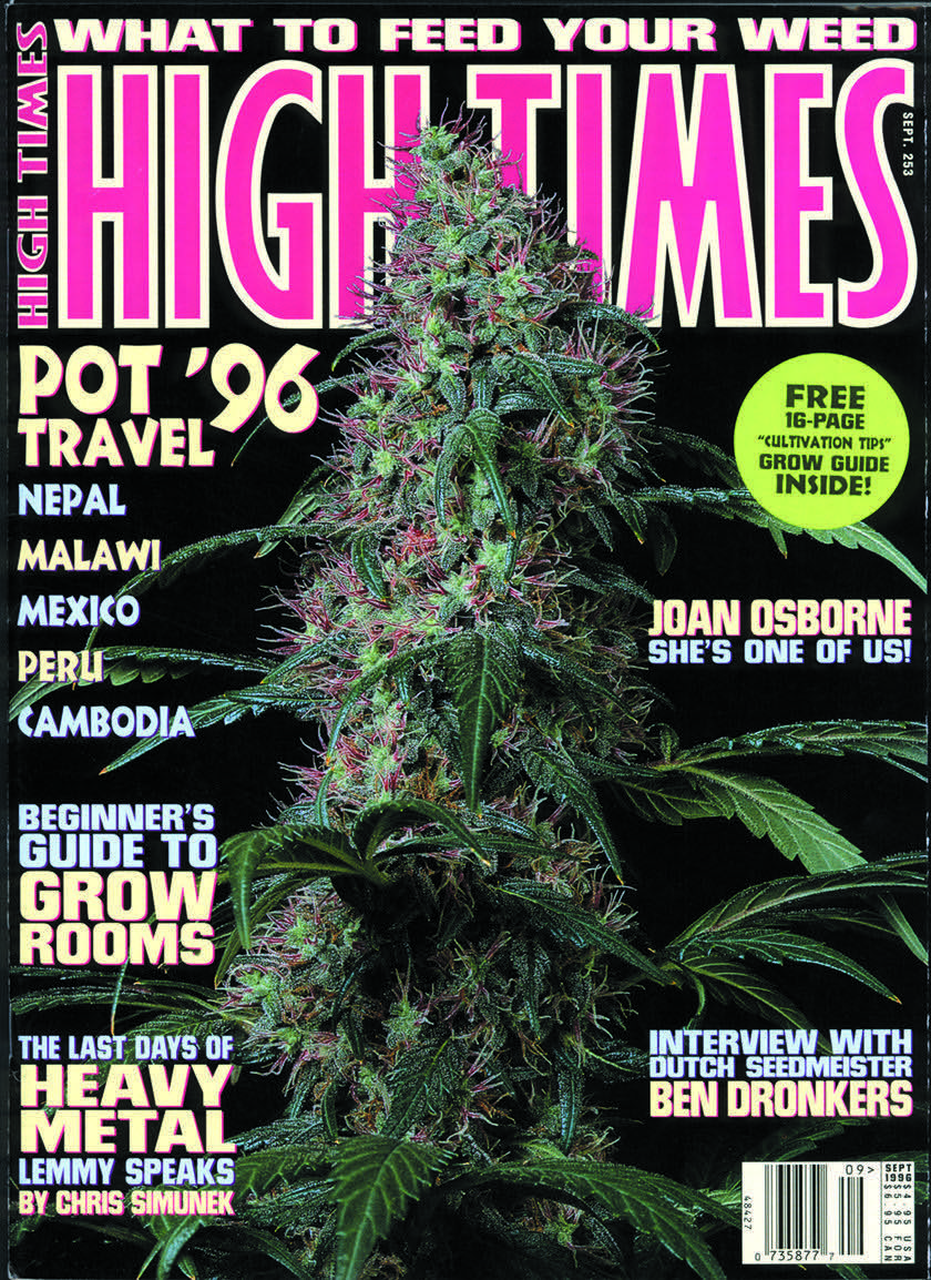 Powerade Zero Sports Drink Zero Calorie B-vitamins Mixed Berry 20 Fl Oz Pack Of 24