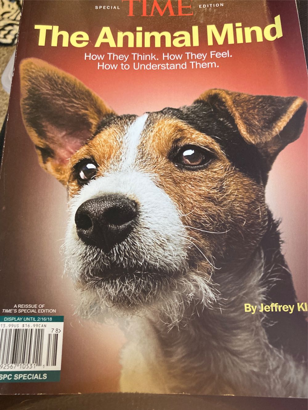 The Worlds Most Haunted Places