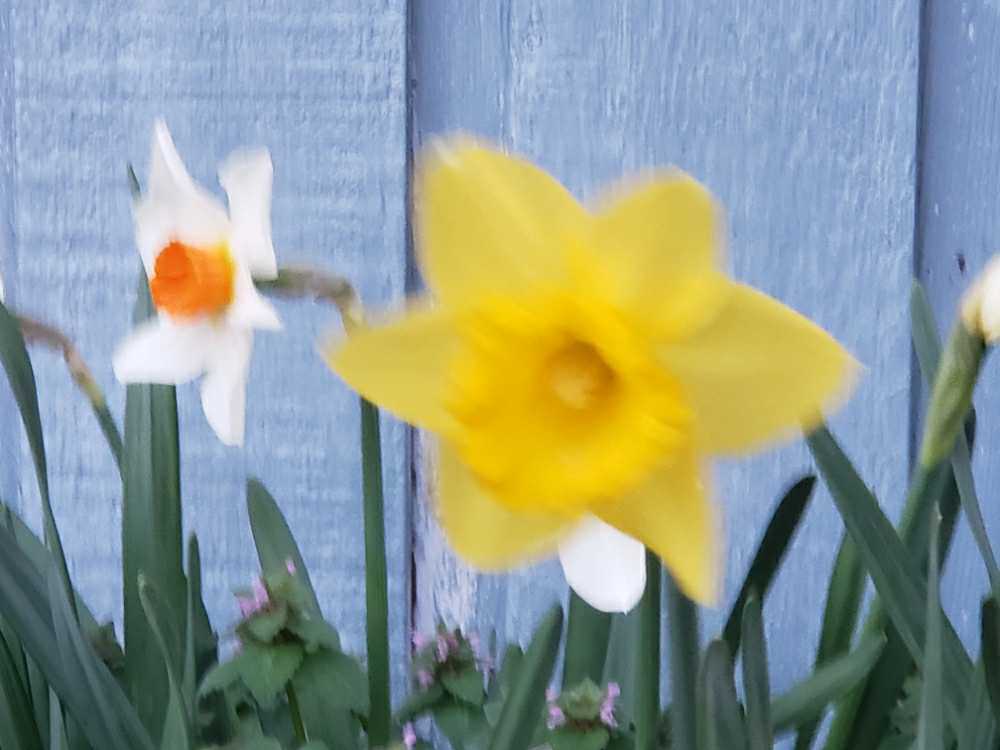 En Skør Skør Verden