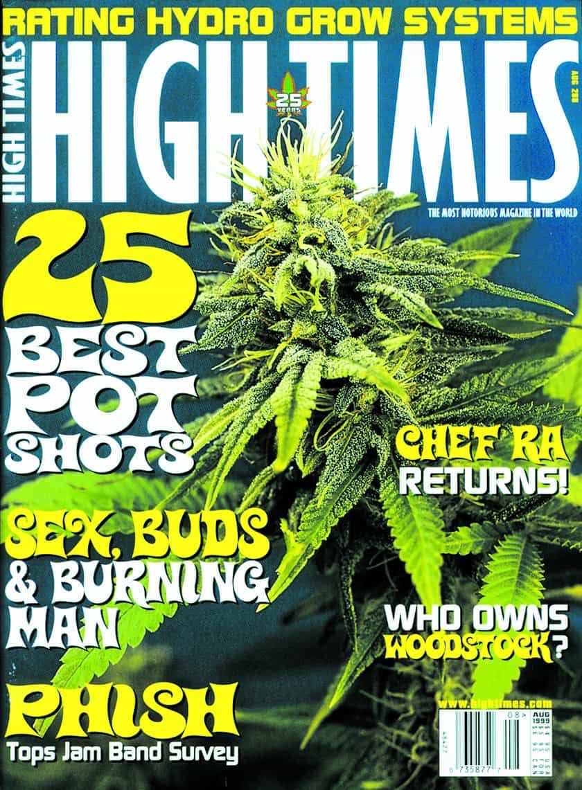 Star Trek Communicator